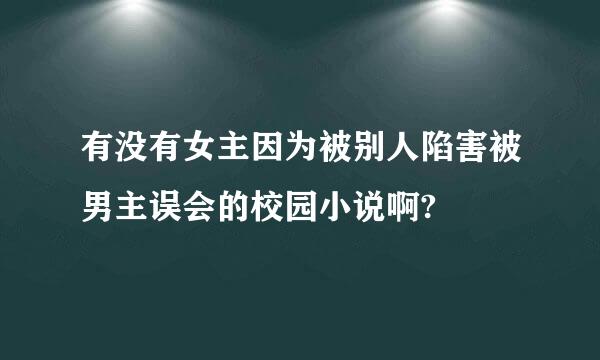 有没有女主因为被别人陷害被男主误会的校园小说啊?