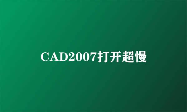 CAD2007打开超慢