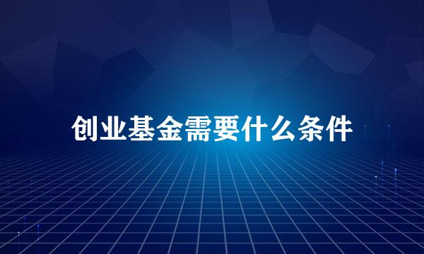 创业基金需要什么条件