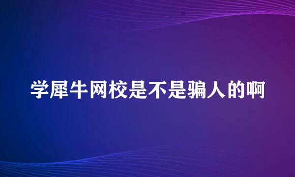 学犀牛网校是不是骗人的啊