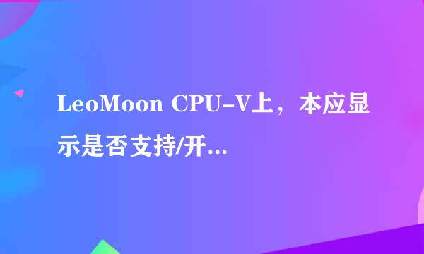 LeoMoon CPU-V上，本应显示是否支持/开启VT的地方，显示AMD-V是否支持/开启，是怎么回事?