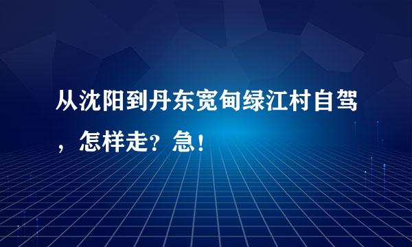 从沈阳到丹东宽甸绿江村自驾，怎样走？急！