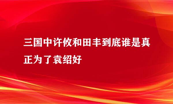 三国中许攸和田丰到底谁是真正为了袁绍好