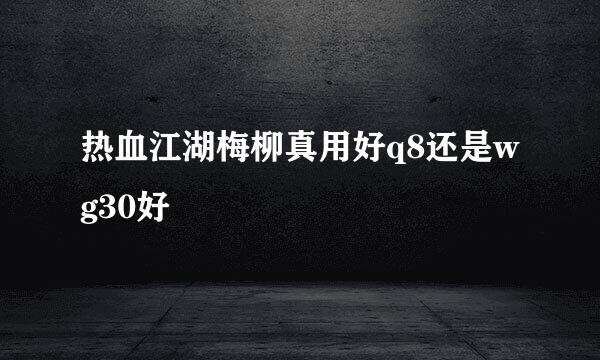 热血江湖梅柳真用好q8还是wg30好