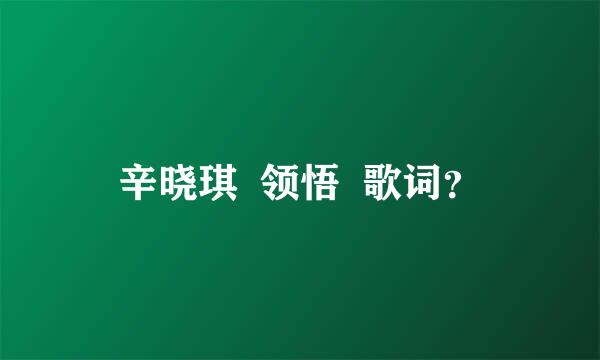 辛晓琪  领悟  歌词？