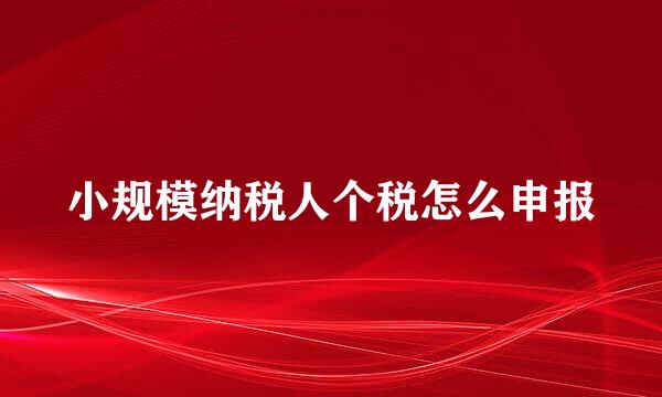 小规模纳税人个税怎么申报