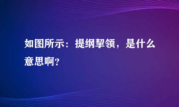 如图所示：提纲挈领，是什么意思啊？