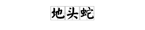 “千里马”是什么意思？“地头蛇”是什么意思？