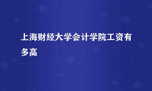 上海财经大学会计学院工资有多高