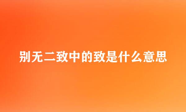 别无二致中的致是什么意思