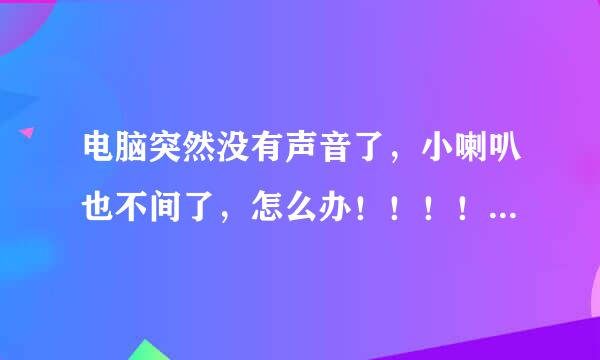 电脑突然没有声音了，小喇叭也不间了，怎么办！！！！！帮帮我吧！