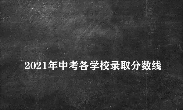 
2021年中考各学校录取分数线
