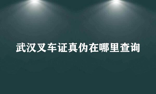 武汉叉车证真伪在哪里查询