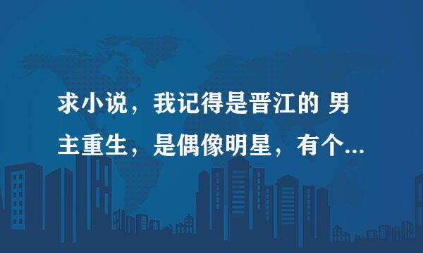 求小说，我记得是晋江的 男主重生，是偶像明星，有个团队就男主和他