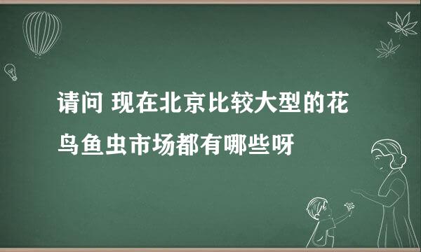 请问 现在北京比较大型的花鸟鱼虫市场都有哪些呀