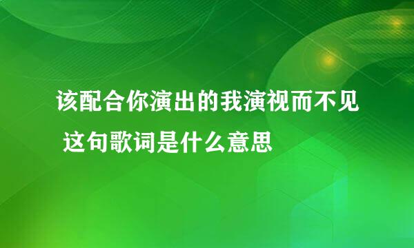 该配合你演出的我演视而不见 这句歌词是什么意思