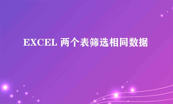 EXCEL 两个表筛选相同数据