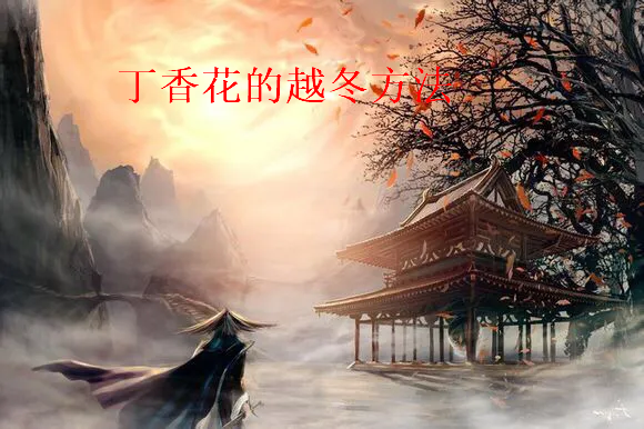 《丁香花的越冬方法》txt下载在线阅读全文，求百度网盘云资源