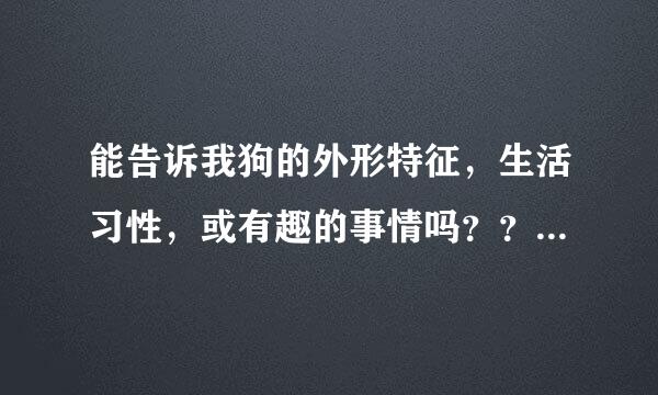 能告诉我狗的外形特征，生活习性，或有趣的事情吗？？？？？？？？？？？