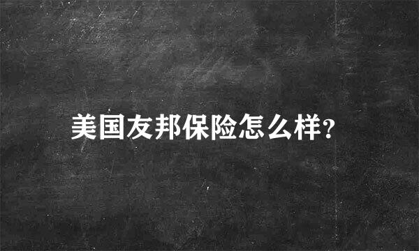 美国友邦保险怎么样？