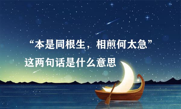 “本是同根生，相煎何太急”这两句话是什么意思