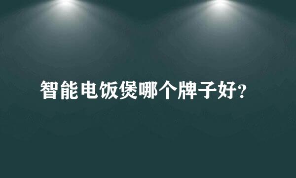 智能电饭煲哪个牌子好？