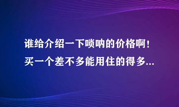 谁给介绍一下唢呐的价格啊！买一个差不多能用住的得多少钱啊！！