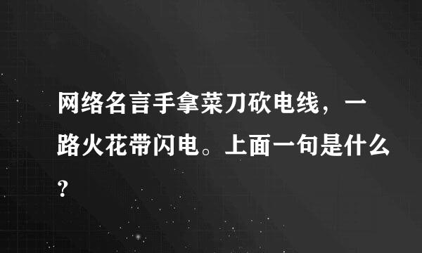 网络名言手拿菜刀砍电线，一路火花带闪电。上面一句是什么？