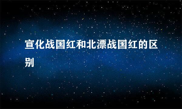 宣化战国红和北漂战国红的区别