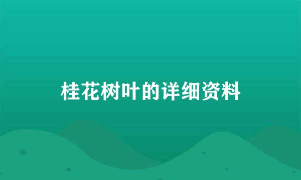 桂花树叶的详细资料