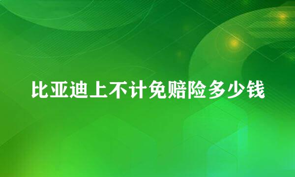 比亚迪上不计免赔险多少钱