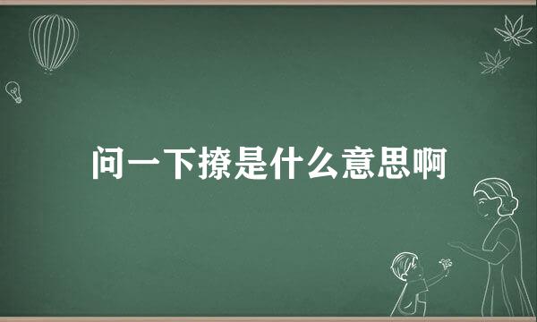 问一下撩是什么意思啊