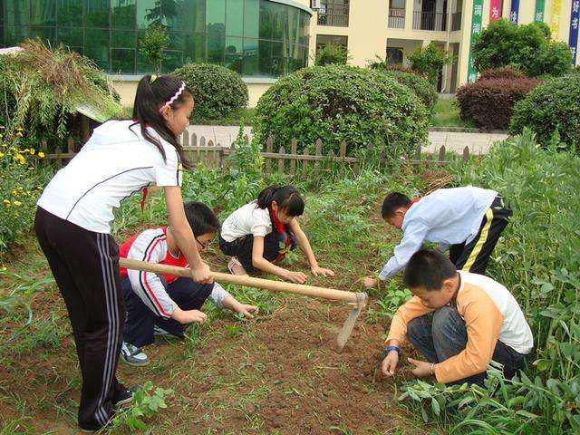 劳动教育对大学生的意义是什么？