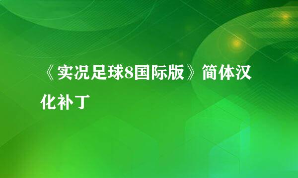 《实况足球8国际版》简体汉化补丁