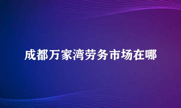 成都万家湾劳务市场在哪