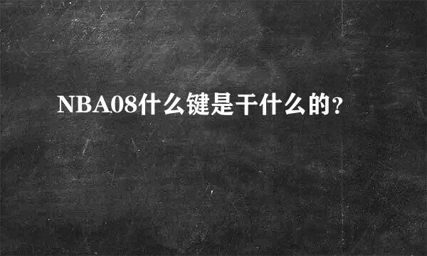 NBA08什么键是干什么的？