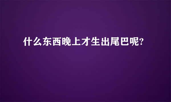 什么东西晚上才生出尾巴呢?