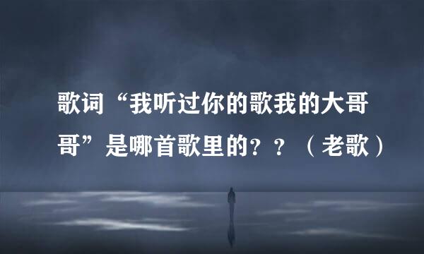 歌词“我听过你的歌我的大哥哥”是哪首歌里的？？（老歌）