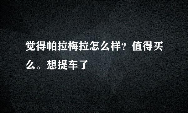 觉得帕拉梅拉怎么样？值得买么。想提车了