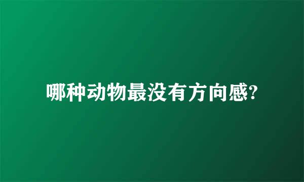 哪种动物最没有方向感?