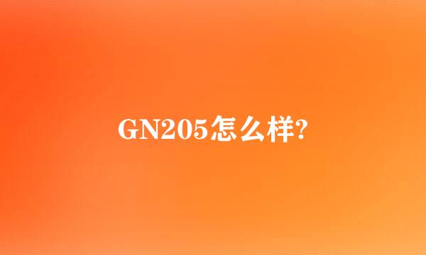 GN205怎么样?