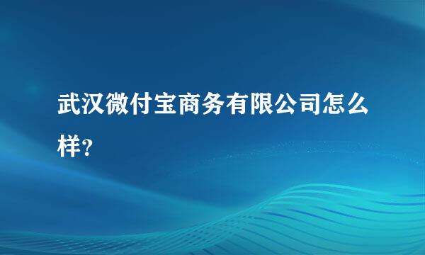 武汉微付宝商务有限公司怎么样？