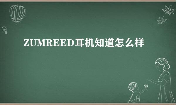 ZUMREED耳机知道怎么样