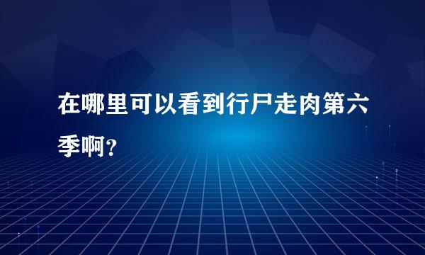 在哪里可以看到行尸走肉第六季啊？