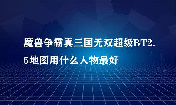 魔兽争霸真三国无双超级BT2.5地图用什么人物最好