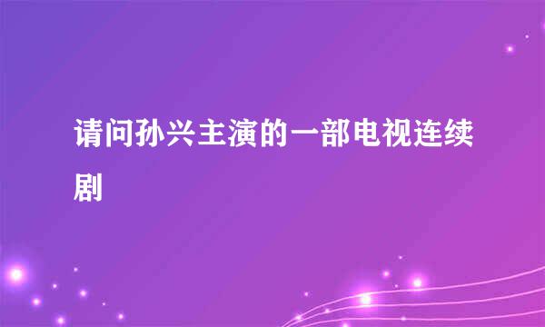 请问孙兴主演的一部电视连续剧