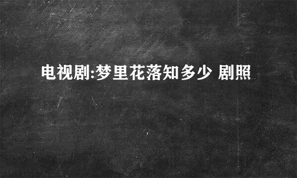 电视剧:梦里花落知多少 剧照