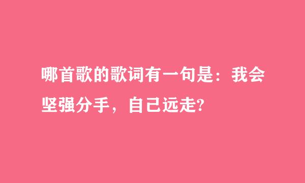 哪首歌的歌词有一句是：我会坚强分手，自己远走?