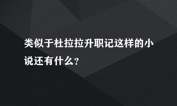 类似于杜拉拉升职记这样的小说还有什么？