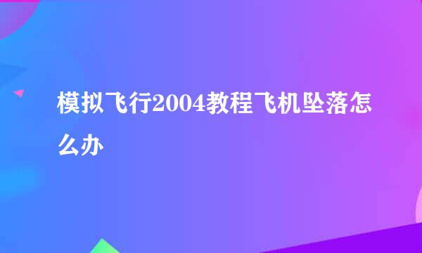 模拟飞行2004教程飞机坠落怎么办